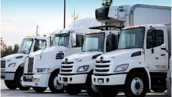 Buying Work Trucks
